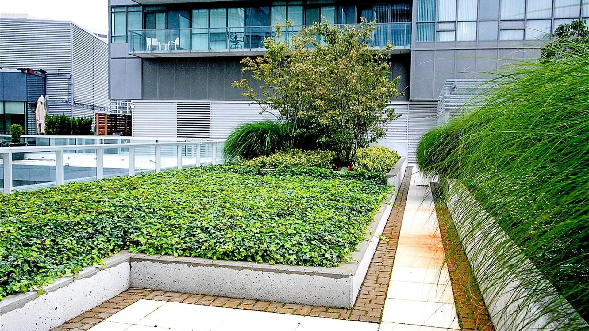 Apartment Luxury Condo Living Downtown Toronto Canada